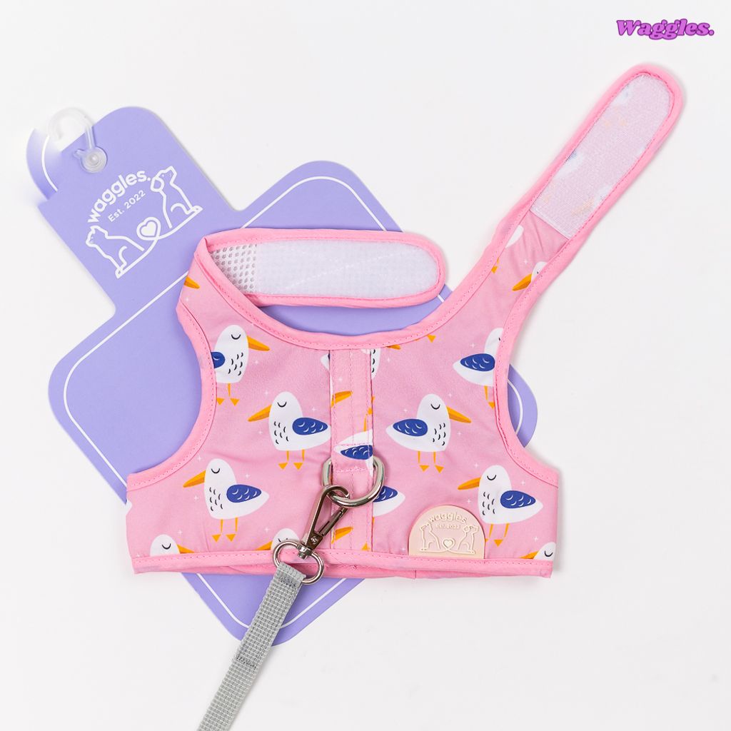 DuckyPink