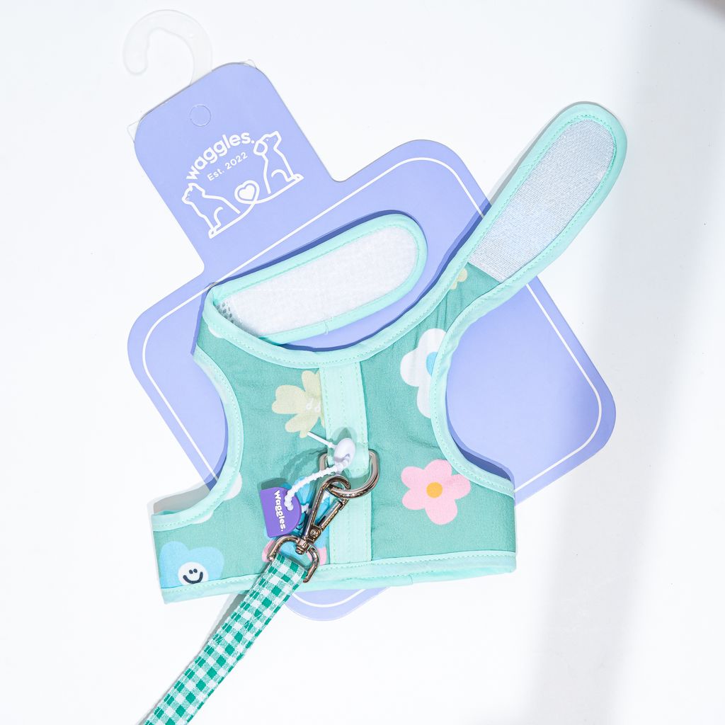 1051 Mint Cloud