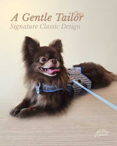 Indian Gentle Tailor Blue