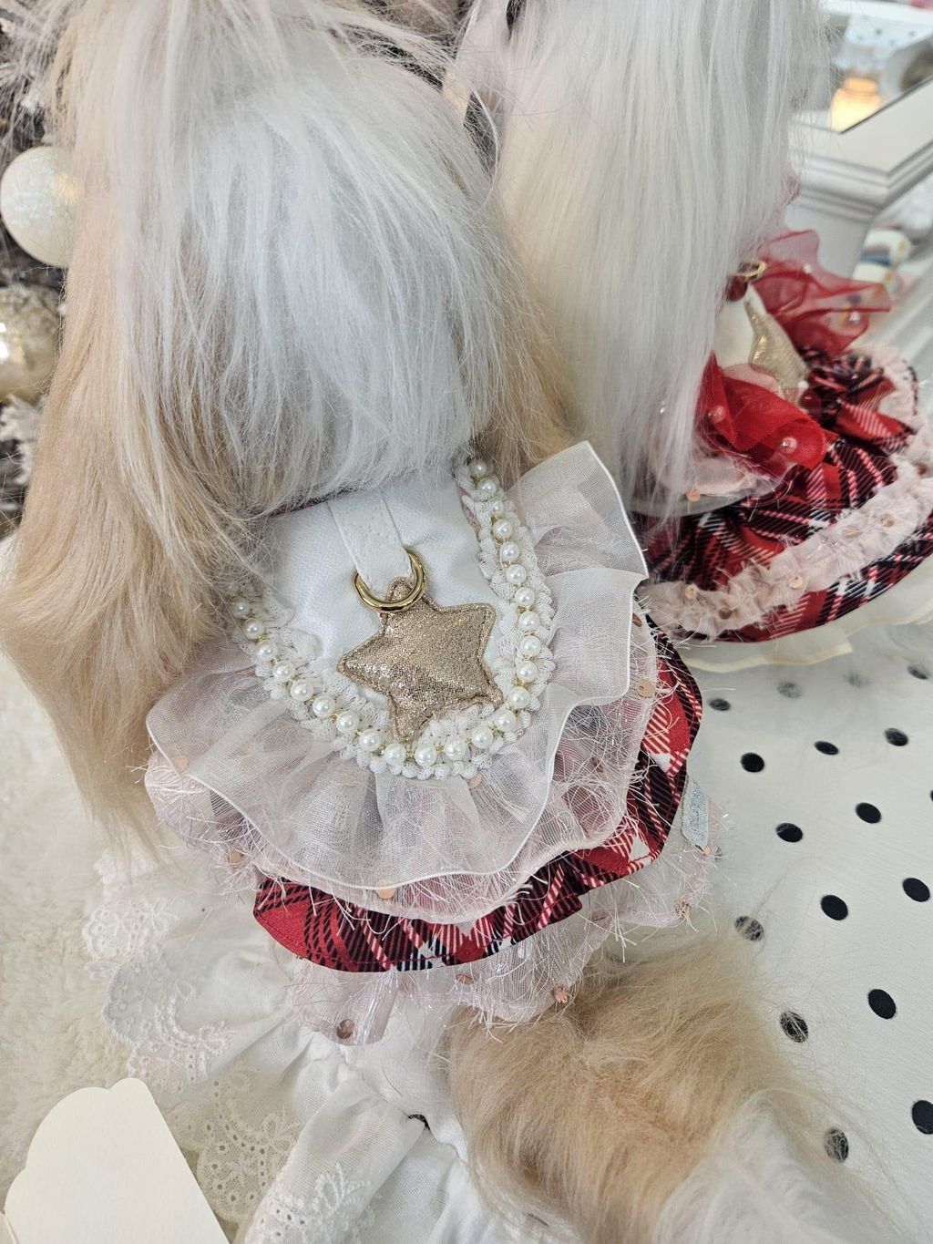 72ec3746f0ac4bf98f35be46d4727670~tplv-aphluv4xwc-origin-jpeg