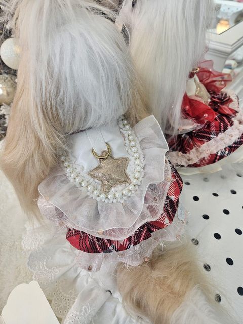 72ec3746f0ac4bf98f35be46d4727670~tplv-aphluv4xwc-origin-jpeg