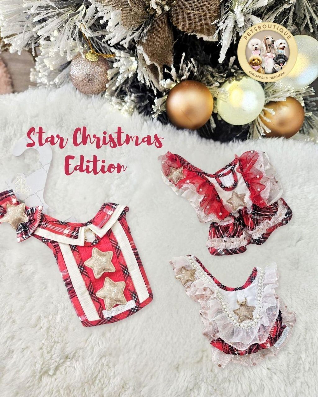 332ae3d1707e48878656b197ef8dce7b~tplv-aphluv4xwc-origin-jpeg