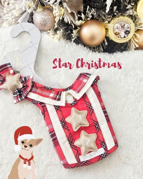 9aa003886da34c1297f1433b9a7a5119~tplv-aphluv4xwc-origin-jpeg