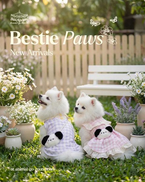 WhatsApp Image 2025-12-19 at 10.06.28