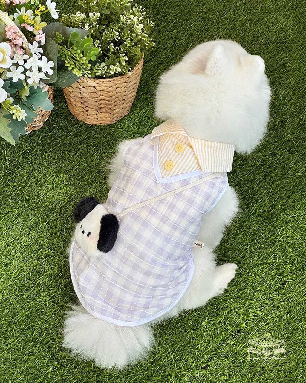 WhatsApp Image 2025-12-19 at 10.06.27 (1)