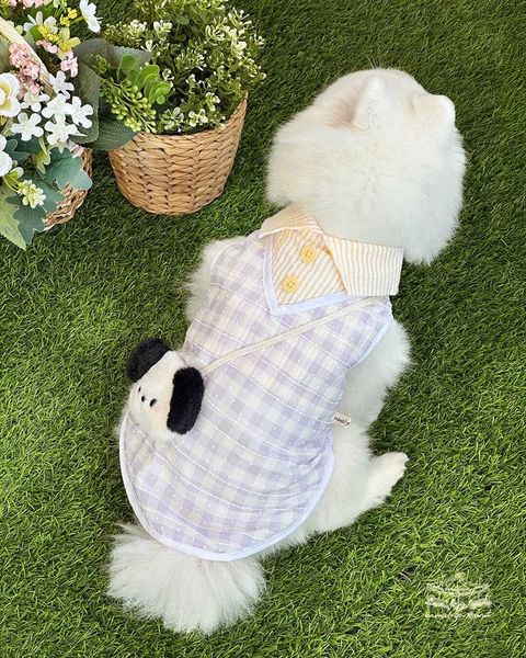 WhatsApp Image 2025-12-19 at 10.06.27 (1)