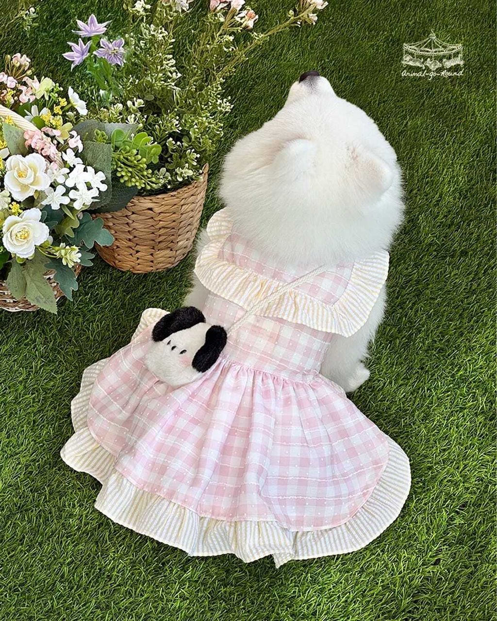 WhatsApp Image 2025-12-19 at 10.06.28 (2)