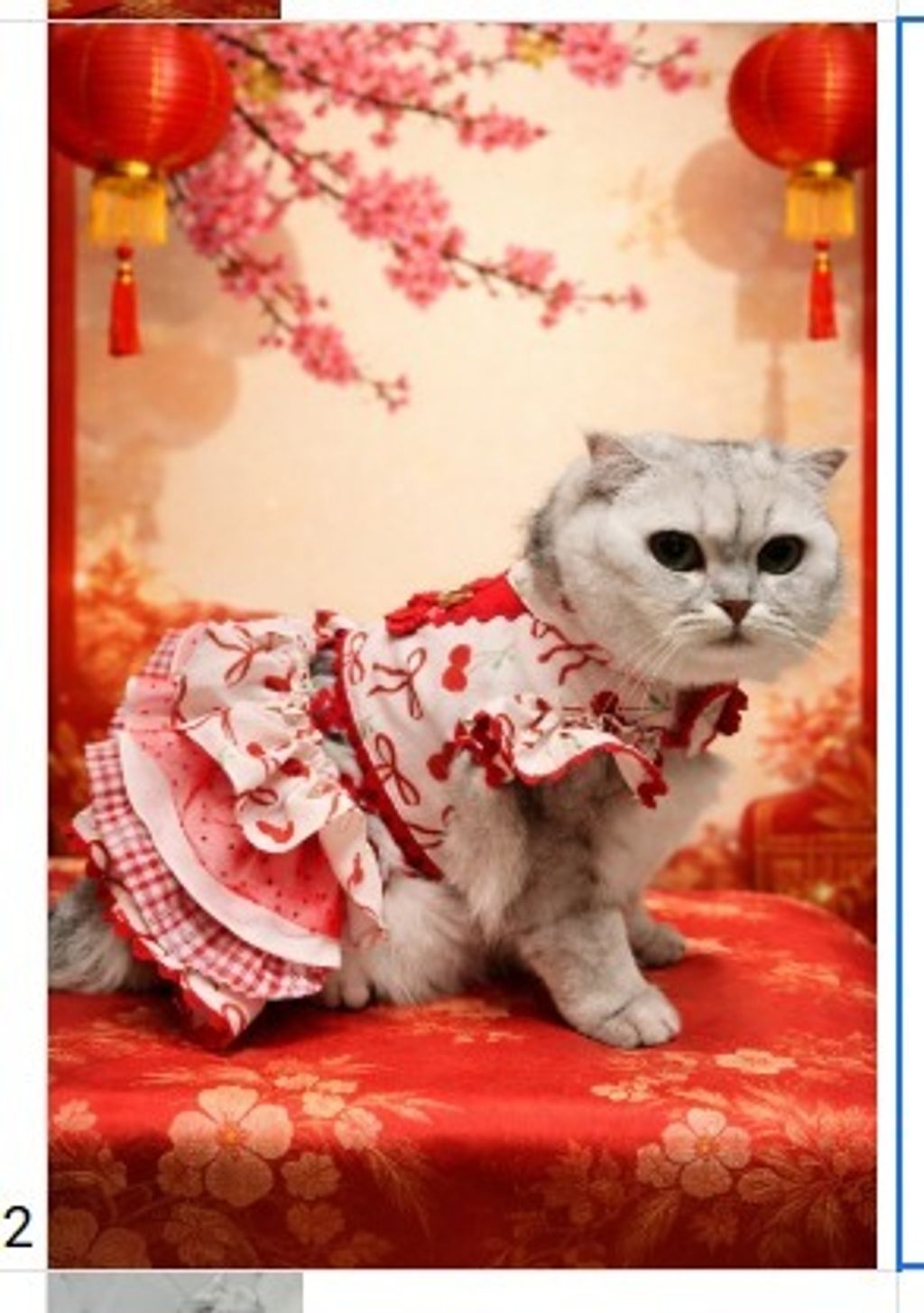 WhatsApp Image 2026-01-03 at 13.14.41