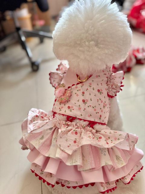 WhatsApp Image 2026-01-04 at 15.01.31