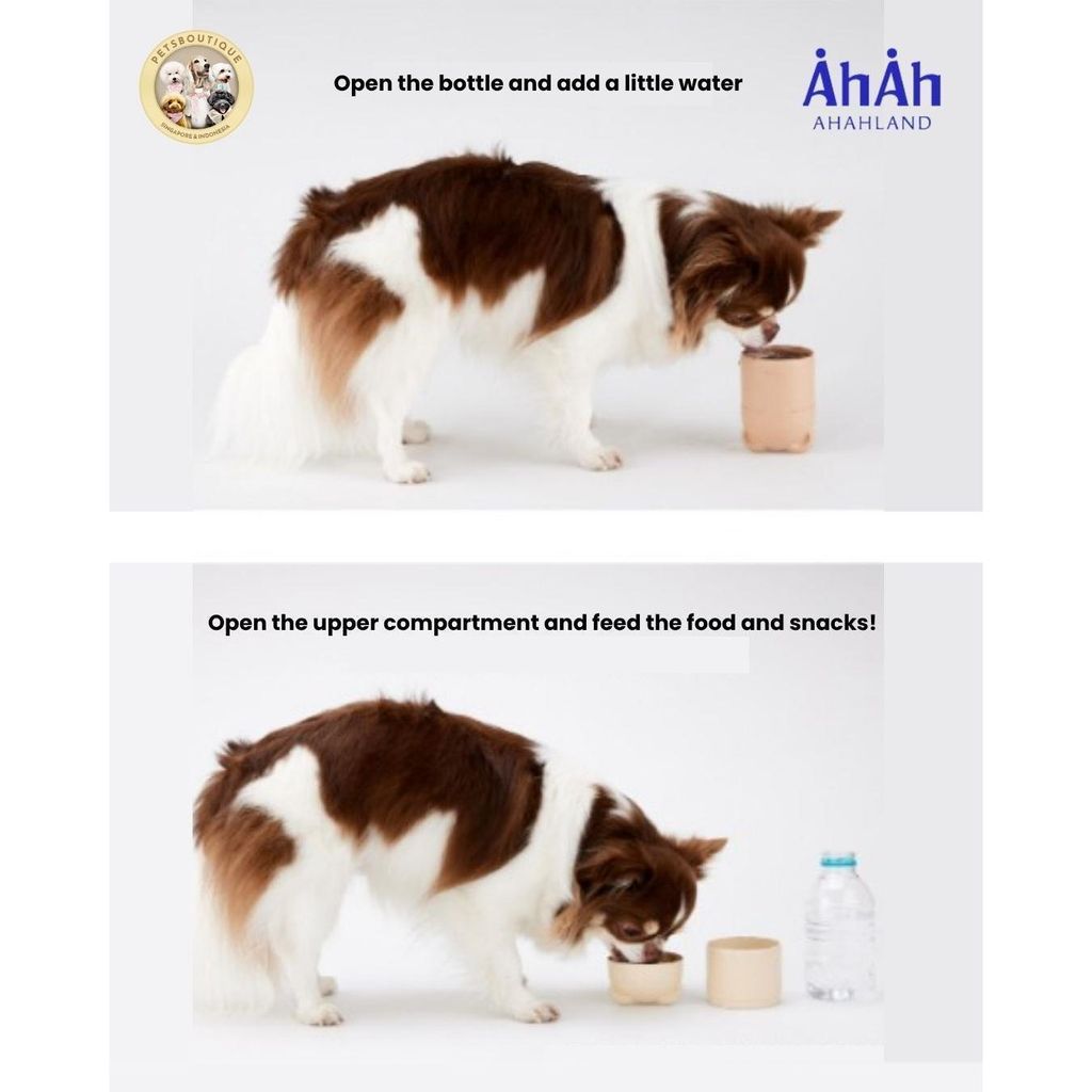 a1bc80bd88f5438694aa736bc633df5c~tplv-o3syd03w52-origin-jpeg