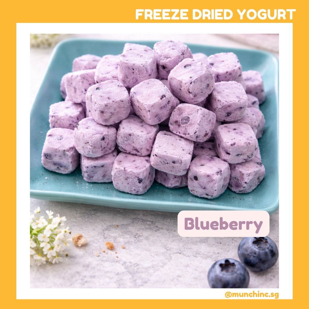 Yogurt FD Blueberry
