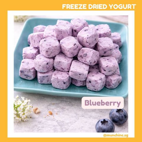 Yogurt FD Blueberry