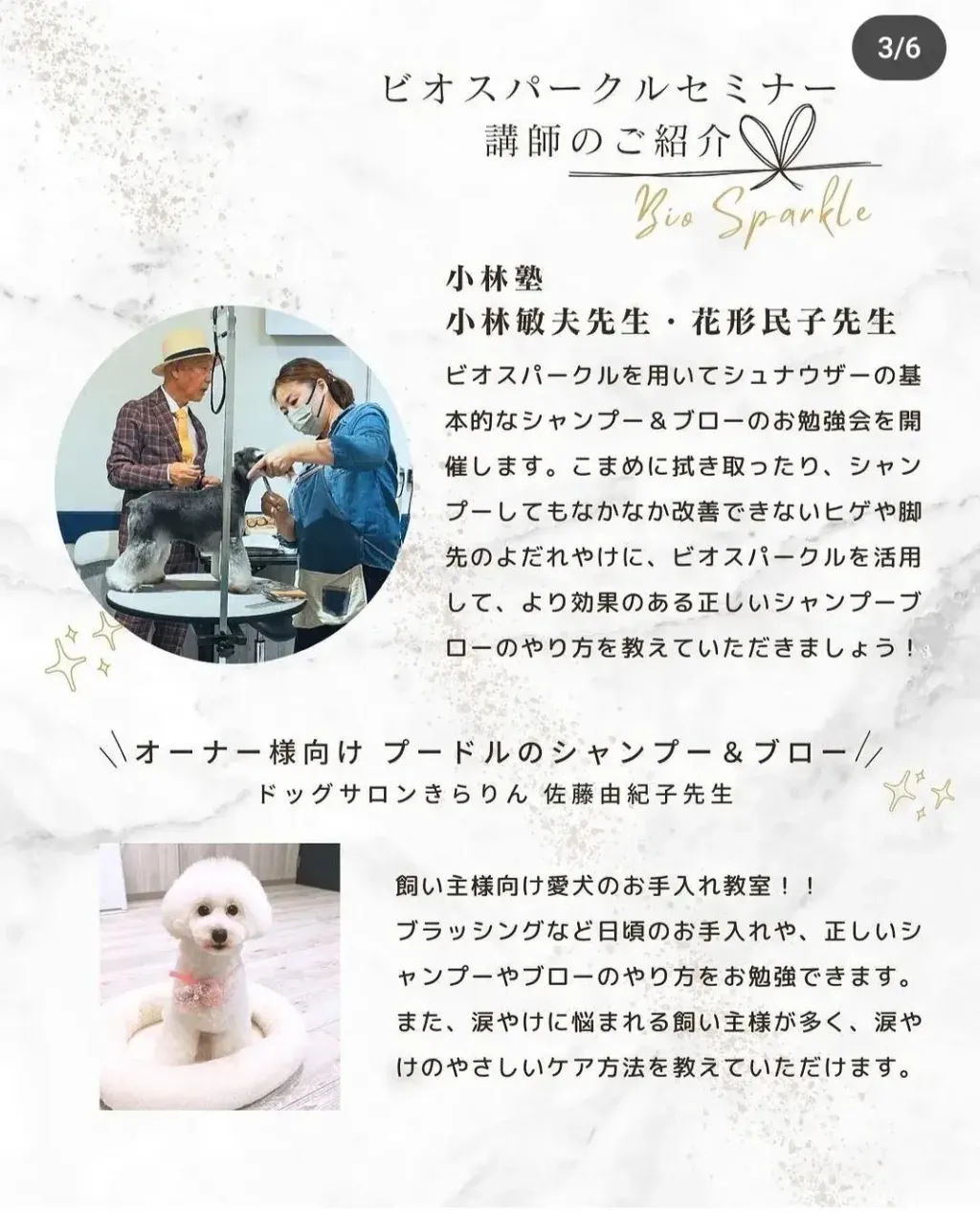 Screenshot_20240103-110428_Instagram