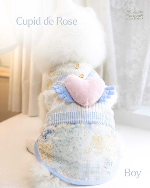 Cupid de Rose boy_1