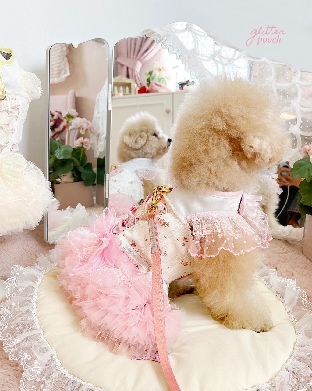 WhatsApp Image 2026-02-07 at 14.47.18