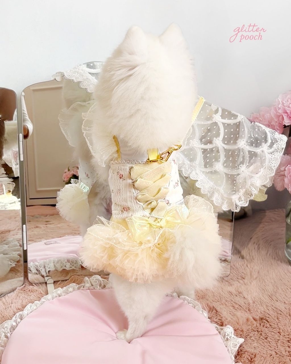 WhatsApp Image 2026-02-07 at 14.47.03