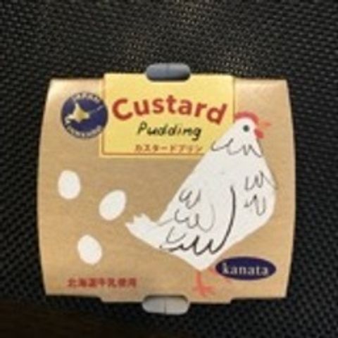 Custard pudding.jpg