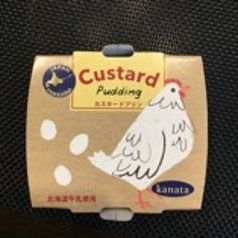Custard pudding.jpg
