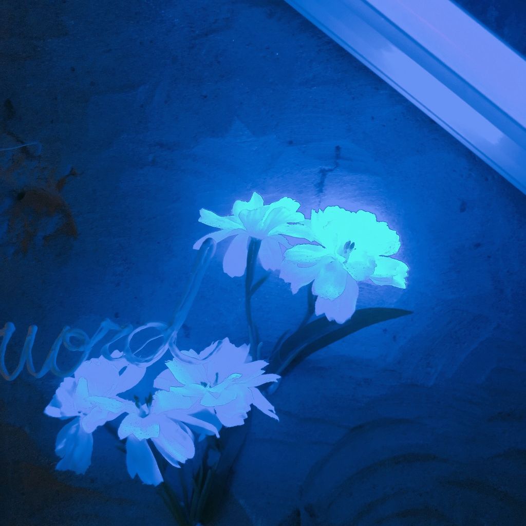 0CC56CBB-7092-4F03-9B15-68949FDC85E3.jpeg