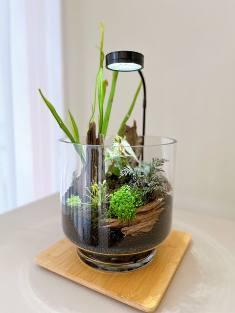 3CEA8EE6-CBE8-4C83-9C74-845C5B840227