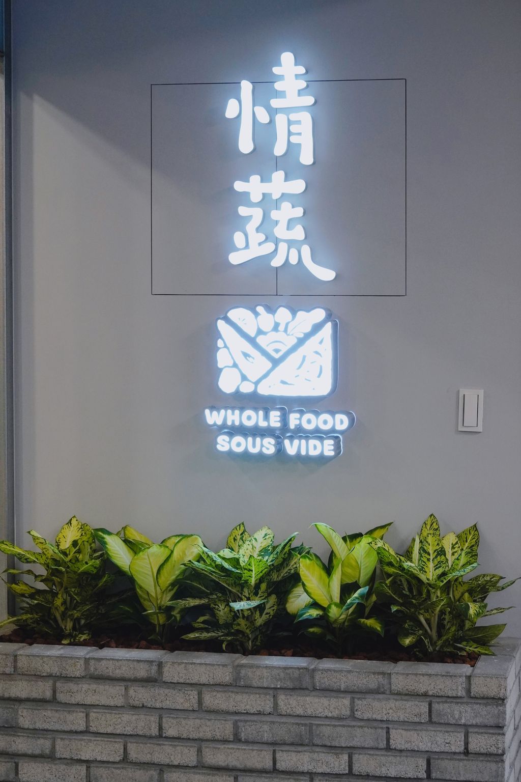 情蔬1