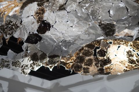 C838585D-E400-4A14-AF17-EA2CEB6AFBF7