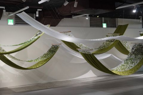 08C51B69-BF94-4A8B-A1FE-BD0543B2AD4B