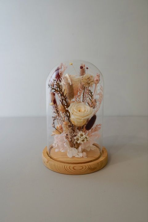 112916EF-11C9-490D-A2F2-1742E63160C1