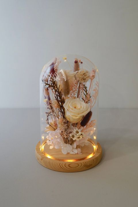 6A0FE66D-BA97-4EF1-AAC0-490C2C23788D