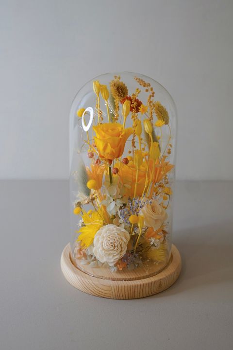 34F3E776-EF32-4777-A664-9001A20A62D0