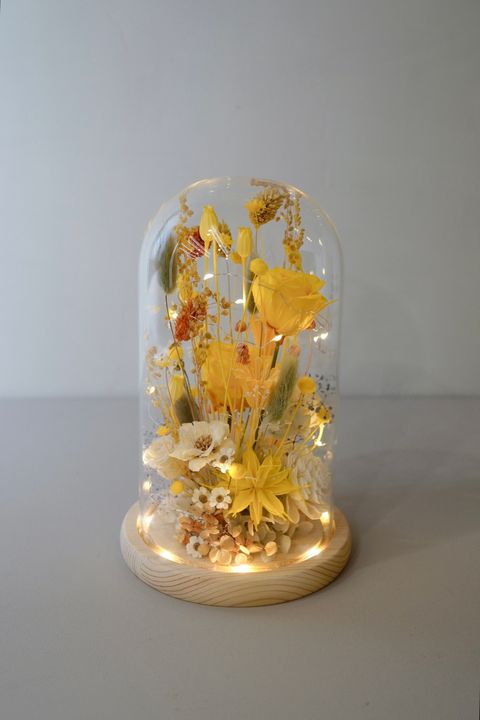 CF8FA1DD-588B-410C-A438-7FDED49DFDCD