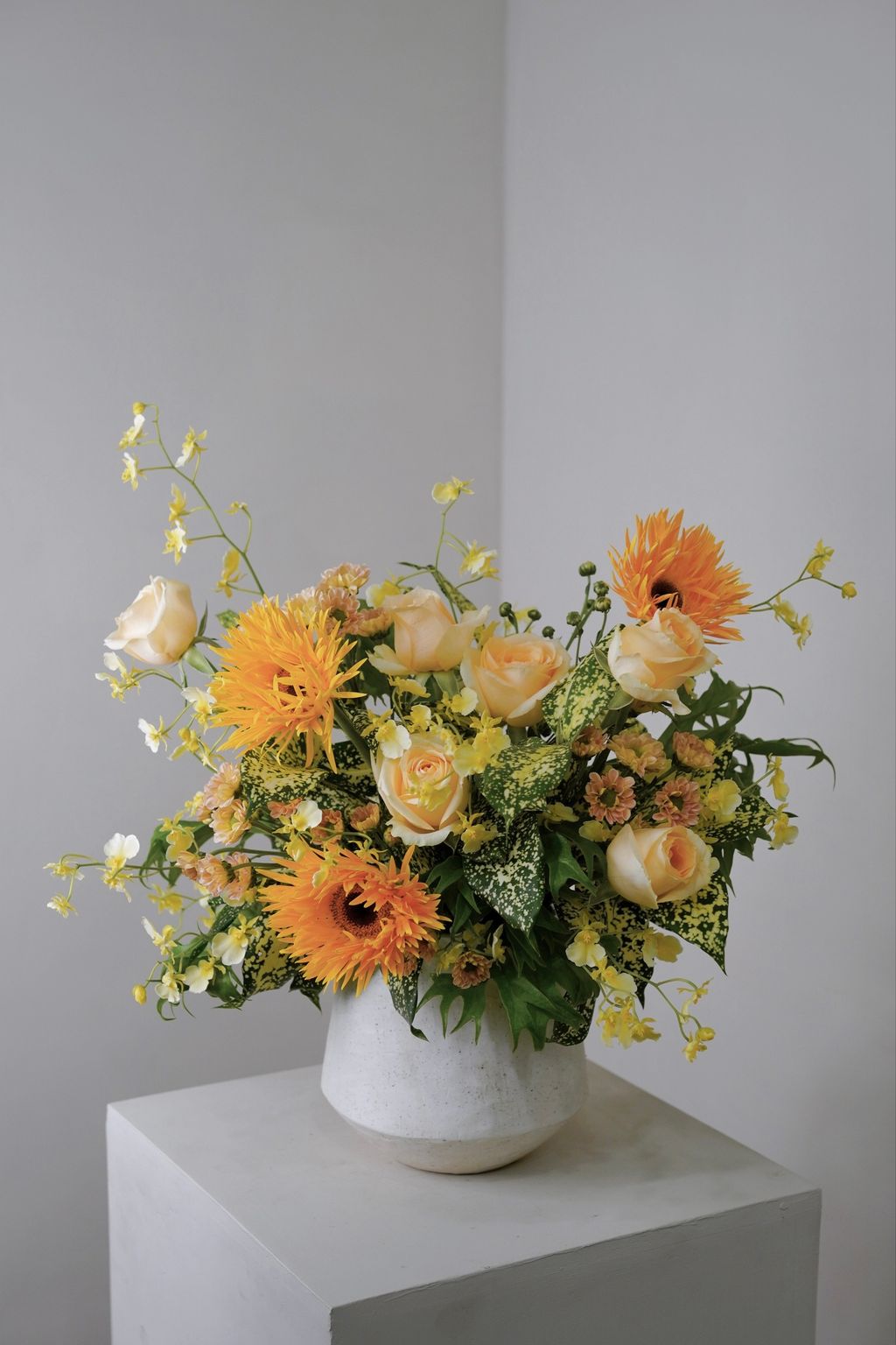 50209849-1254-4CFC-88BF-FC88D1980AC2