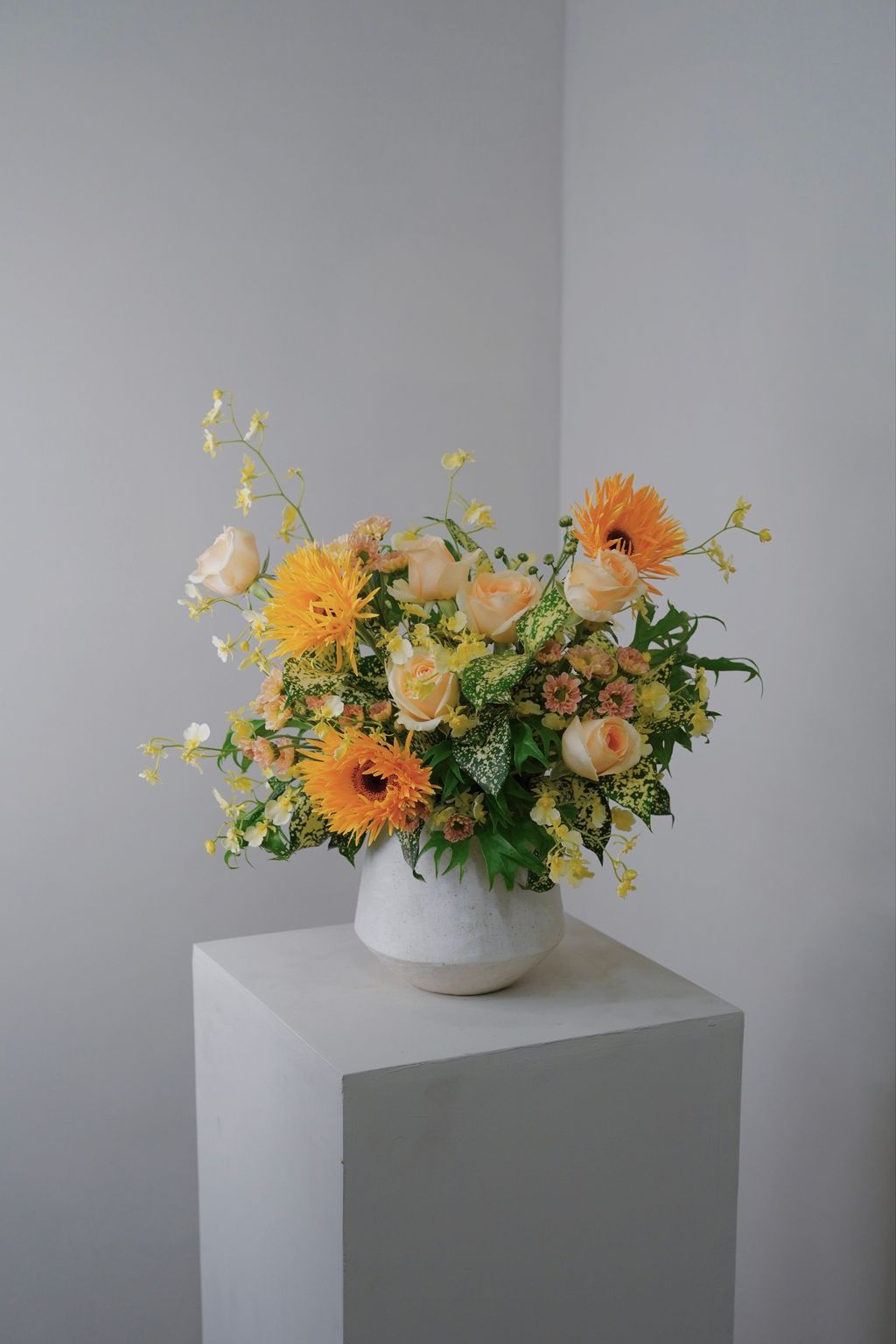 D8E6B2DE-D349-4B2E-A089-A4A9EB820FC1