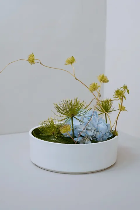 LINE_ALBUM_20251110 _1_251111_6