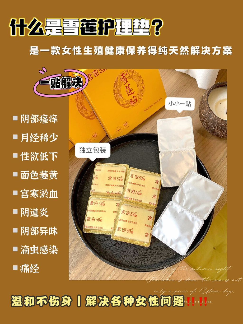 Image_20250212195027