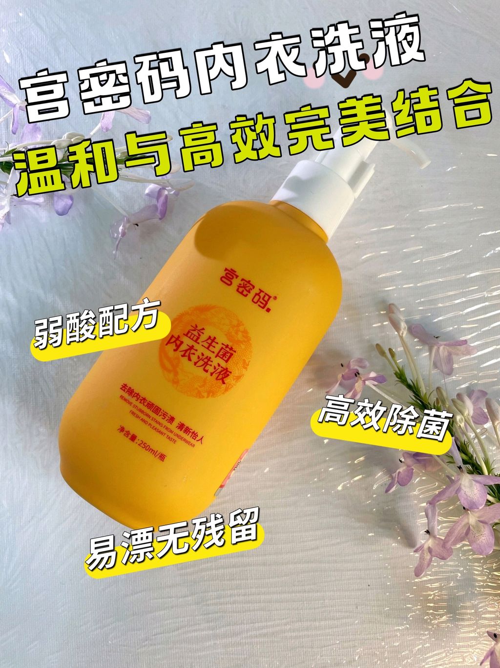 Image_20250406151212