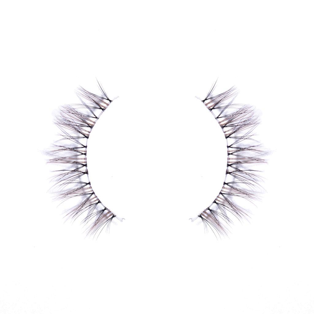 Lash - C-1