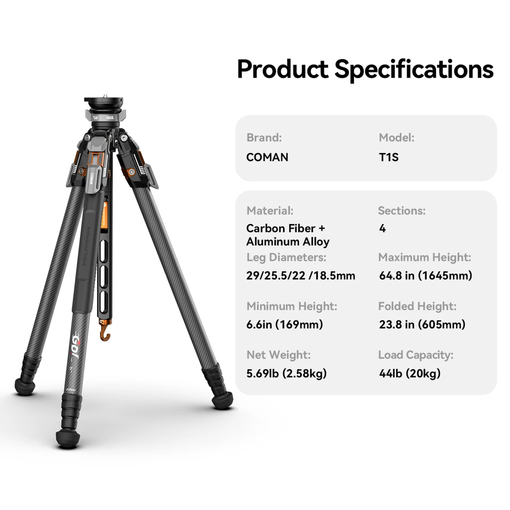 Hide Online Template (14)