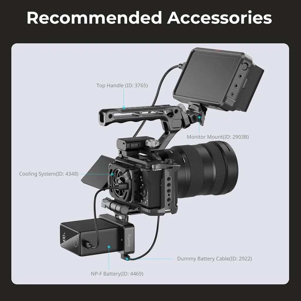 79905327.jpeg?width=1024&format=webp