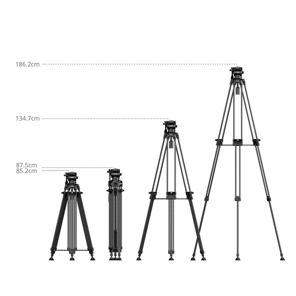 1755528568_IMG_2554851