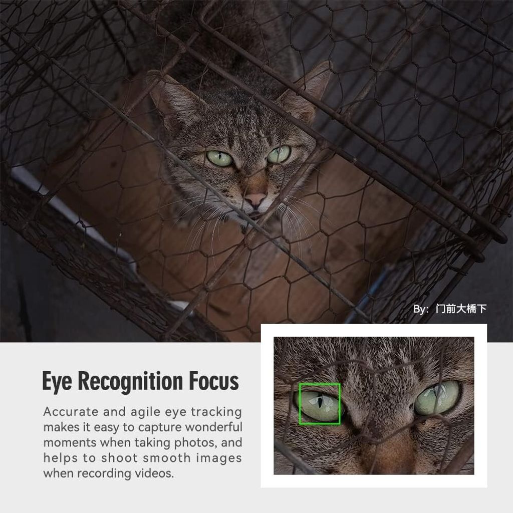 616NR4mPE0L._AC_SL1000_