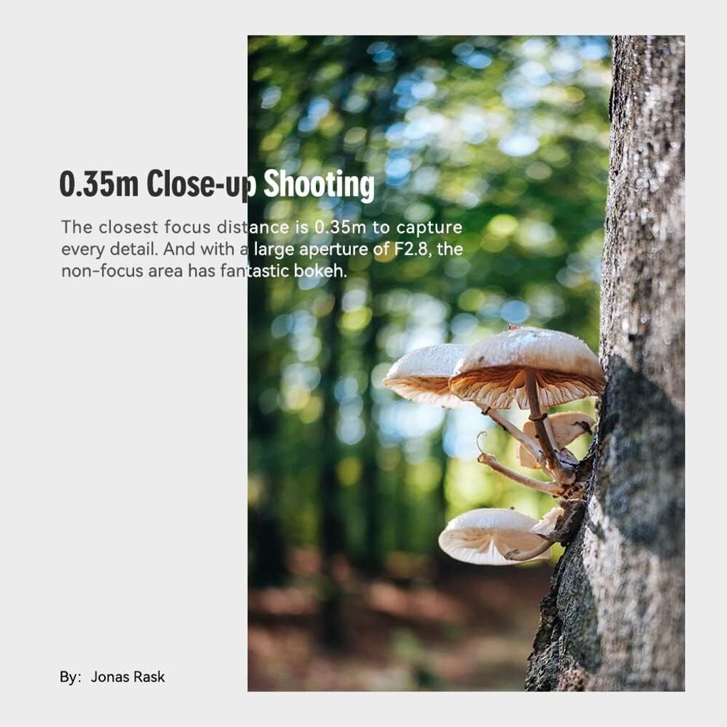 61rLh1rL6AL._AC_SL1000_