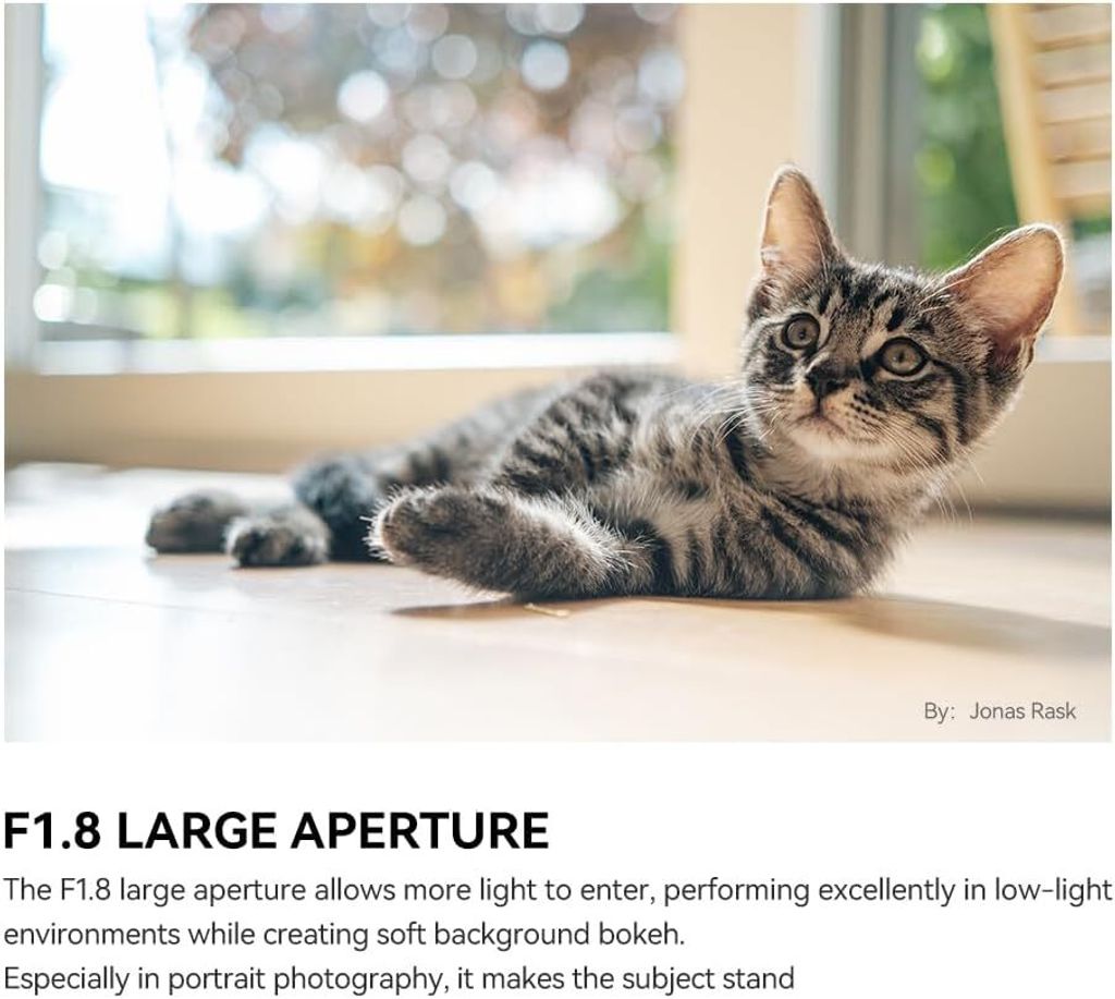 616TStb7iWL._AC_SL1000_