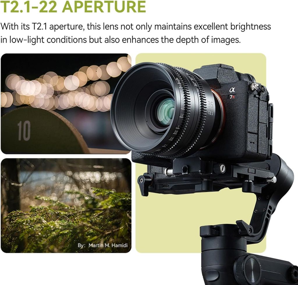 71dVYwbtd7L._AC_SL1500_