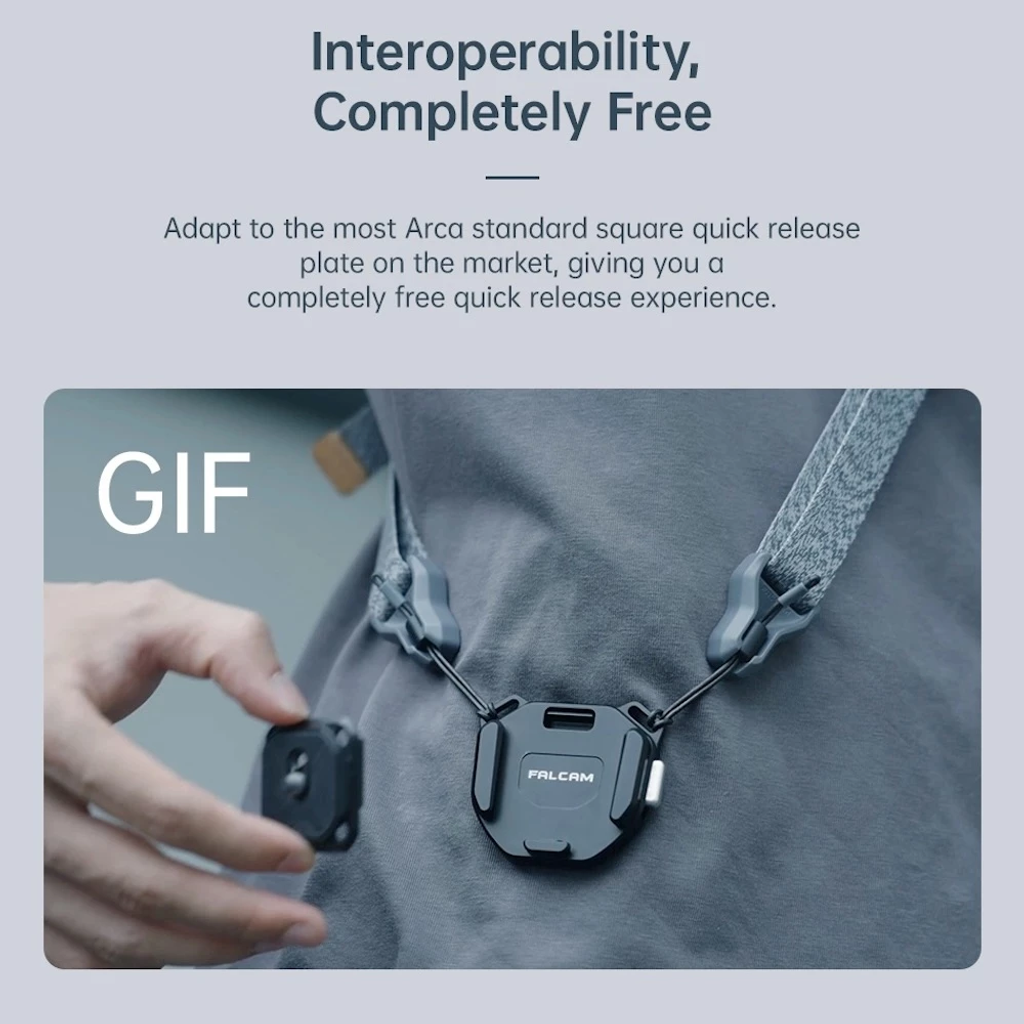 my-11134207-7rasc-m6mgl8ocpqxu65