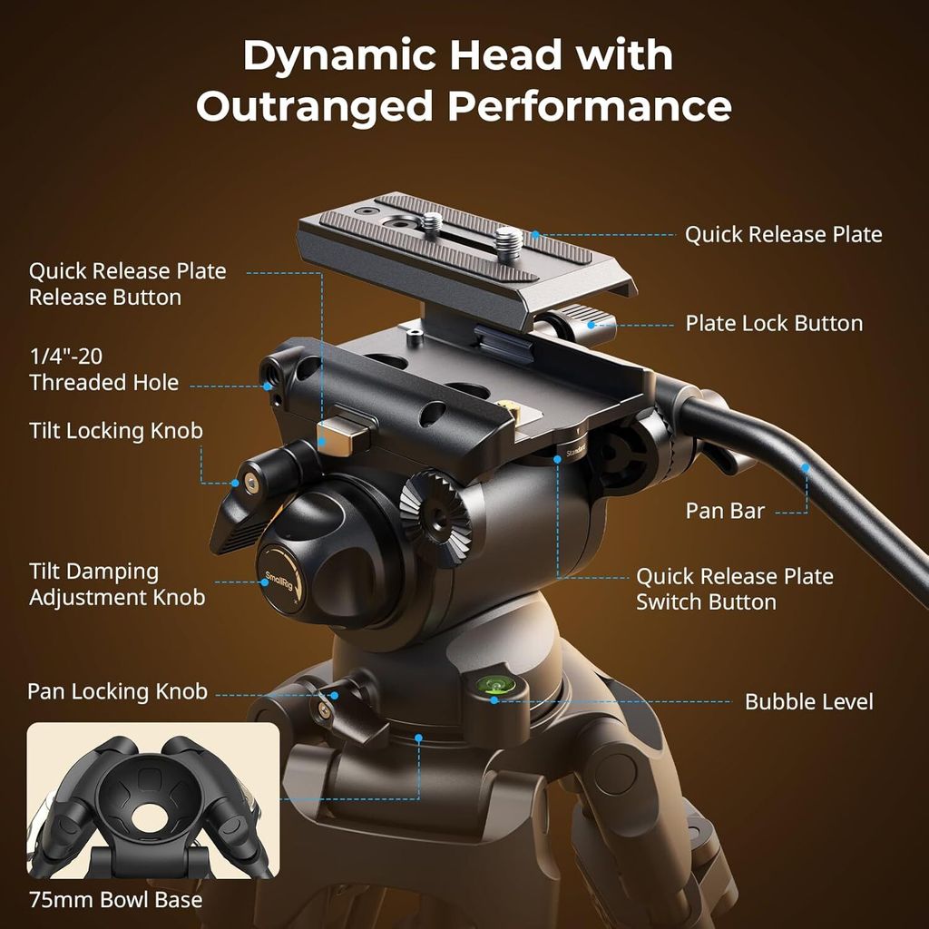 71hDxw+z4TL._AC_SL1500_