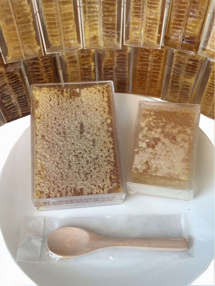 honeycomb1.png