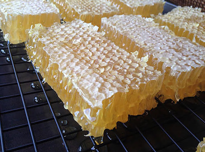 cut-comb-honey-500x50022.png