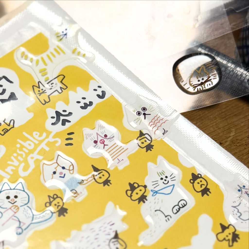 SaveClip.App_801581142_18110182163157088_5350216416449435962_n