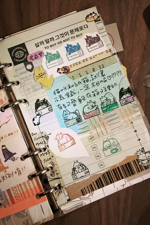 image_02A825E0-603A-4348-AD08-5E83F95B74EB_1754117812